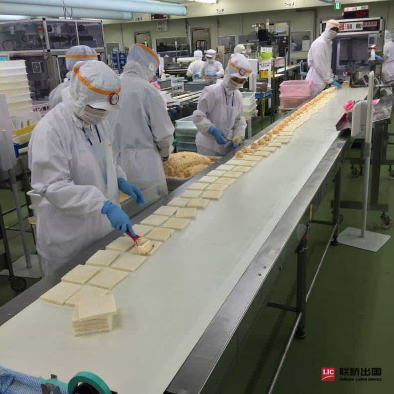 三明治漢堡加工女工(圖4)